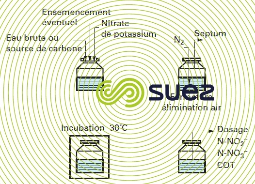 essai de dénitrification