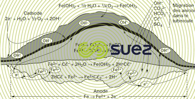 Réaction tubercule siège