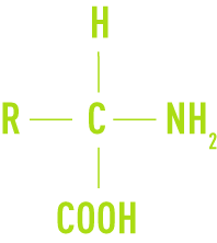 Formule : Substances nutritives - acide aminé