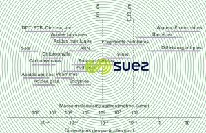 Exemple consituants organiques eau