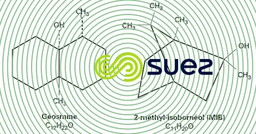 molécules géosmine méthyl-isobornéol