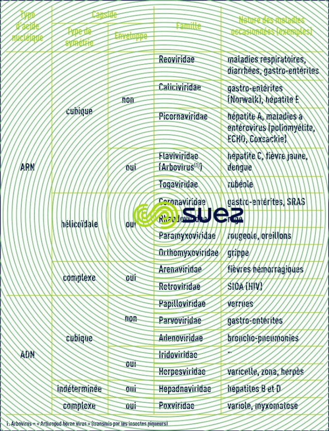 virus type d'acide nucléique