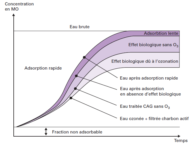 Le concept de CAB (charbon actif biologique) Degremont®