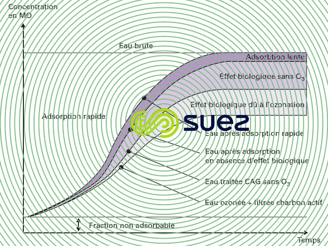ozonation charbon actif en grains