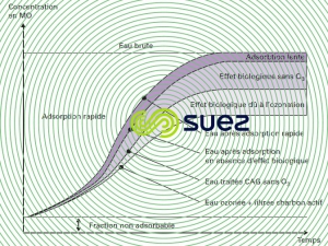 ozonation charbon actif en grains