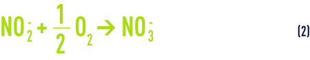 Formule : conversion des nitrites en nitrates, nitratation