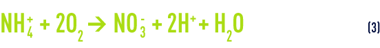 Formule : réaction globale de la nitrification