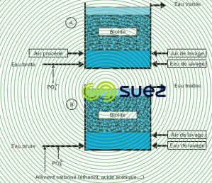 Réacteurs bactéries azote eau potable