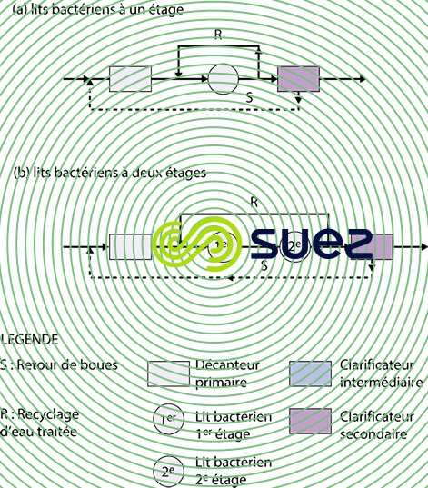 Configurations lits bactériens