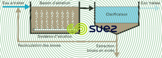 système boues activées