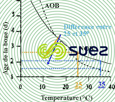 Influence température croissance AOB - NOB