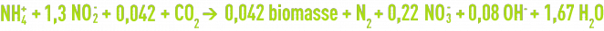 réaction Anammox