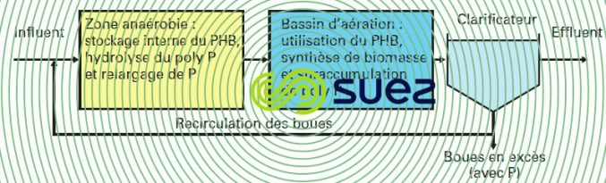 déphosphatation biologique