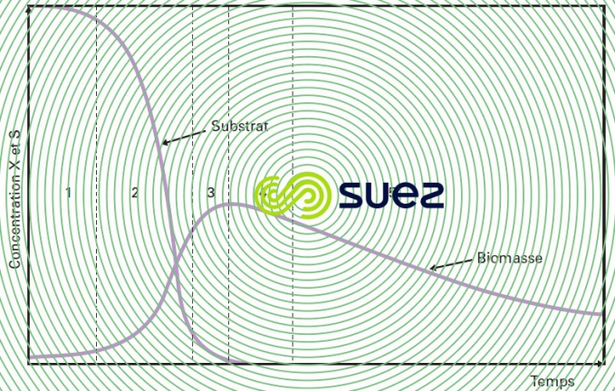 culture bactérienne biomasse - concentration substrat