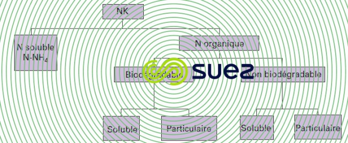 Décomposition du NK