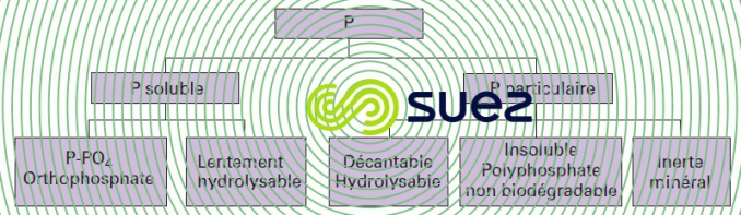 Décomposition P