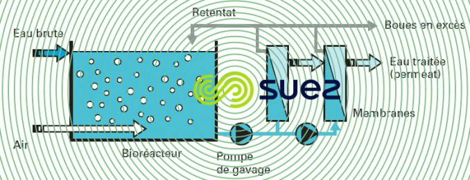 Bioréacteurs membranes externes