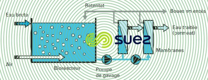 Bioréacteurs membranes externes