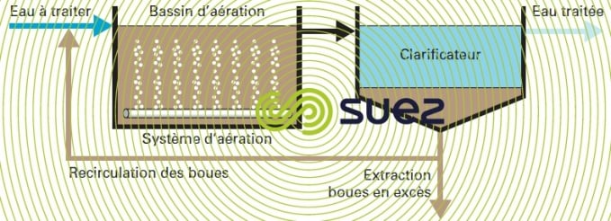 Cultures libres (boues activées) - Degremont®