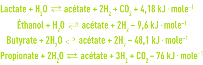 Biochimie microbiologie - acétogénèse