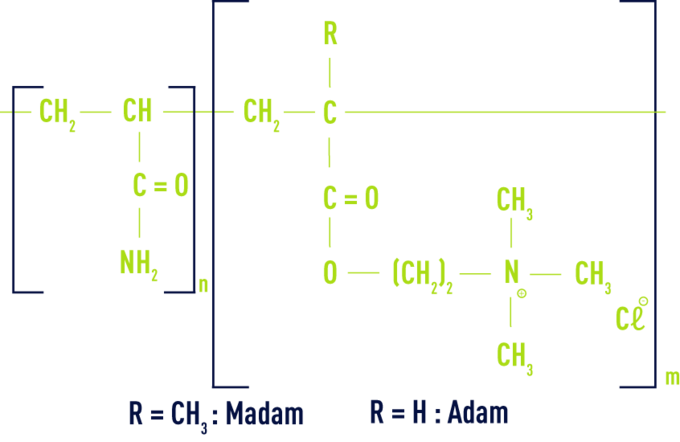 Formule : classification - MADAM ou ADAM