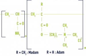 Formule : classification - MADAM ou ADAM