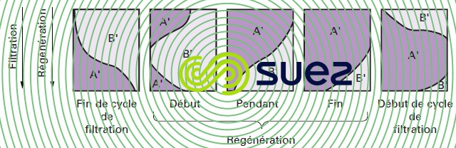 Régénération cocourant