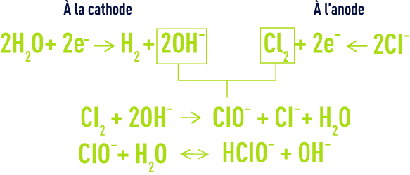 Formule : Electrochloration - réactions principales électrochimiques
