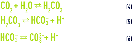 Formule : pHS -équilibres et constantes thermodynamiques - dissociation de l'acide carbonique