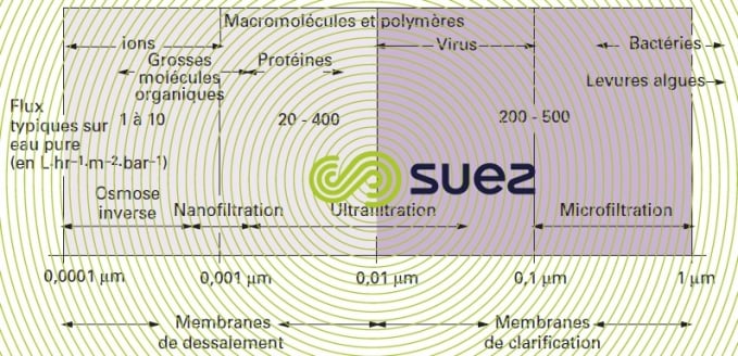 filtration membrane