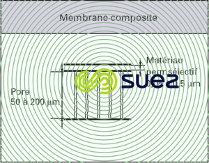 membranes composites