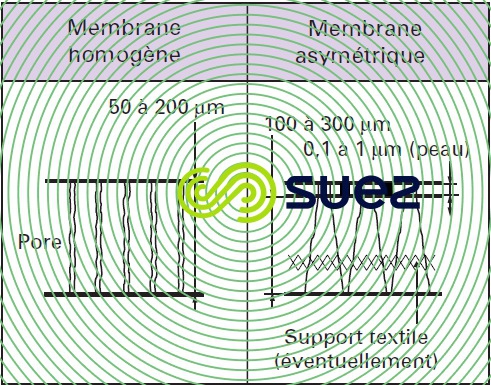 membranes homogènes asymétriques