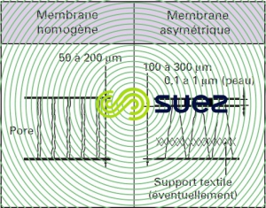 membranes homogènes asymétriques