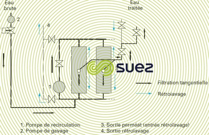 Traite' des membranes en general et de