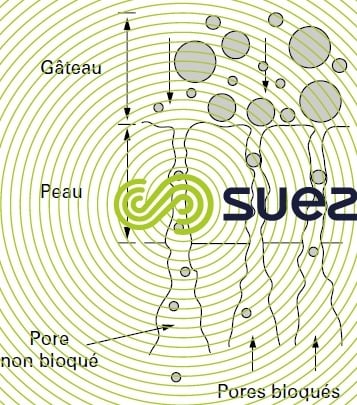 QUELLES SOLUTIONS POUR UN PRÉVENIR LE COLMATAGE DES MEMBRANES FINES BULLES ?