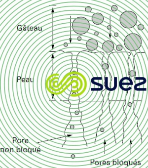 Séparation membrane clarification