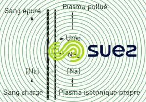 Principe hémodialyse