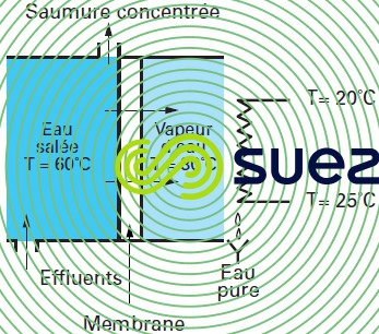Distillation membranes