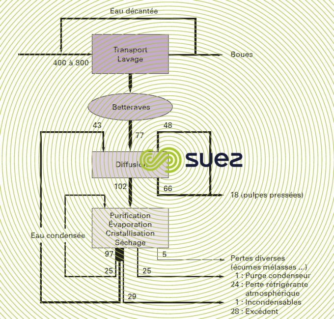 Cycle eau sucrerie betteraves