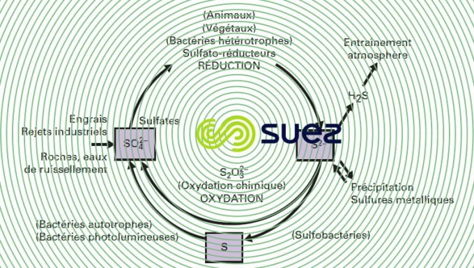 Cycle souffre
