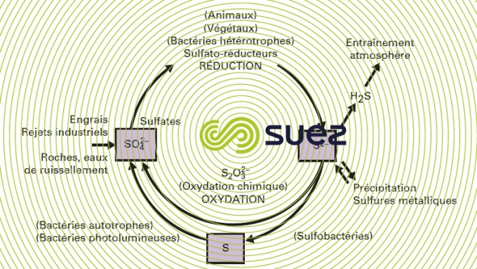 Cycle souffre