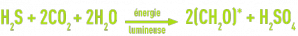 Formule : Cycle du souffre - réaction globale