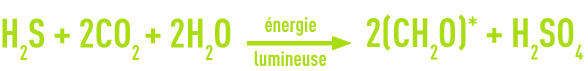 Formule : Cycle du souffre - réaction globale