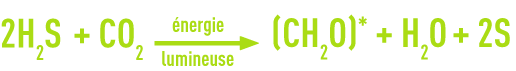 Formule : Formation de soufre élémentaire