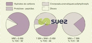 Carbone organique eau Seine