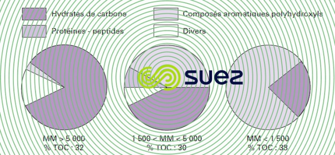 Carbone organique eau Seine