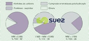 Carbone organique eau Seine