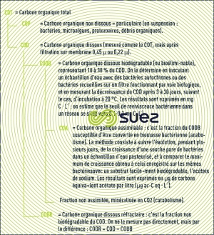 Formes carbone organique
