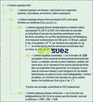 Formes carbone organique