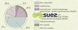 Composés halogénés chloration eau